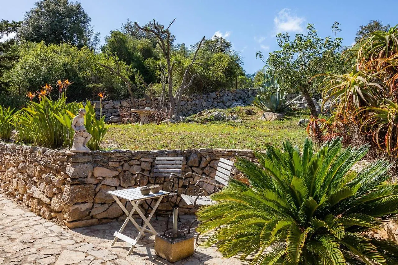 Finca Bona Feina 阿尔塔 别墅