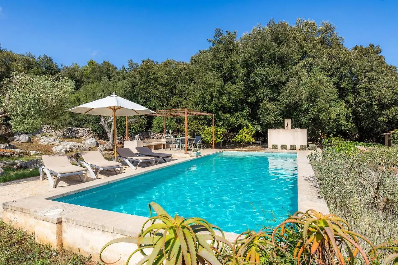 Finca Bona Feina location